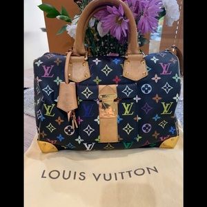 💙💜💚Louis Vuitton Speedy 30 Multi Color 💚💜💙
